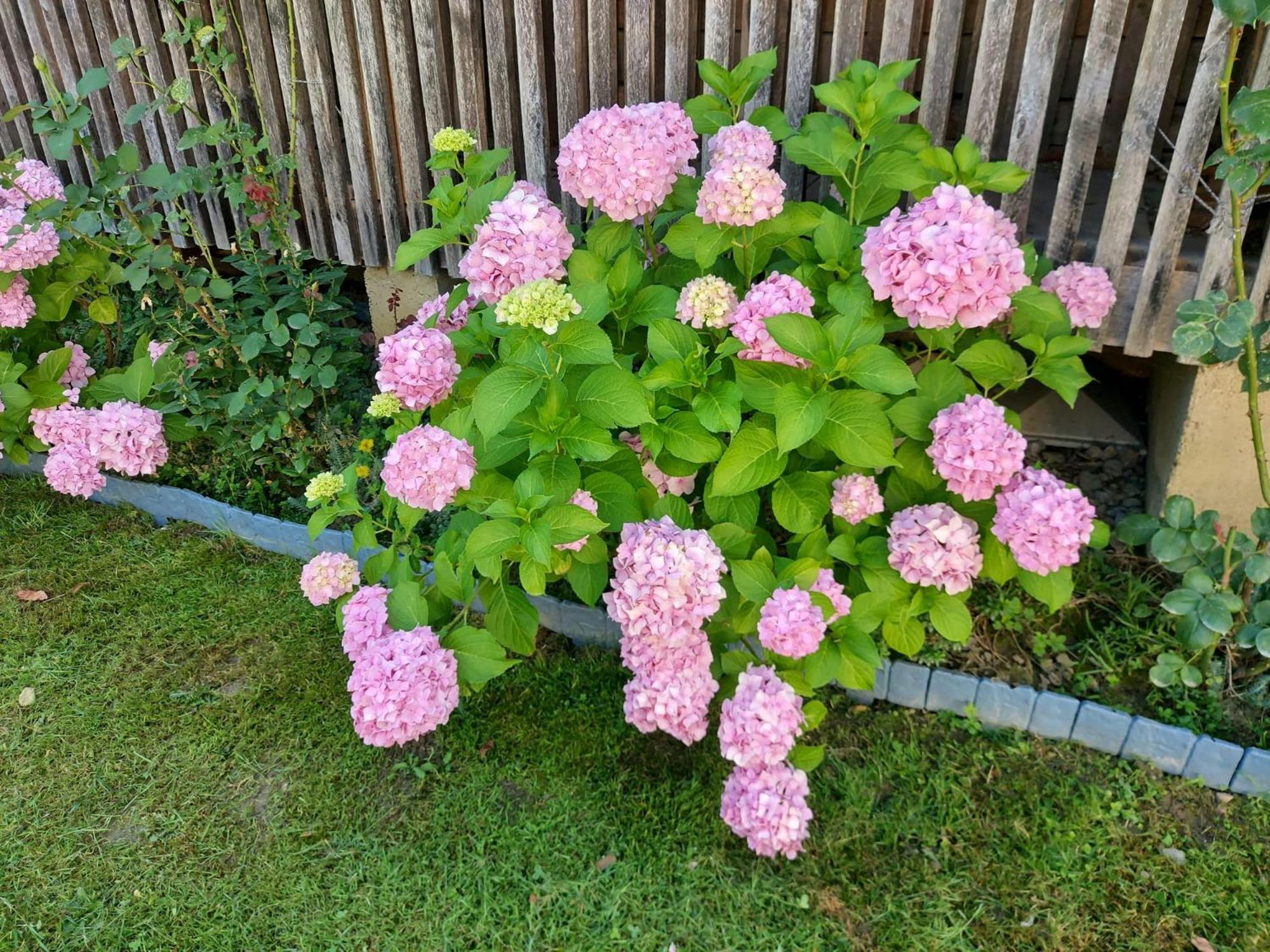 Vila Kuca Za Odmor Mazuran Karlovac Exteriér fotografie