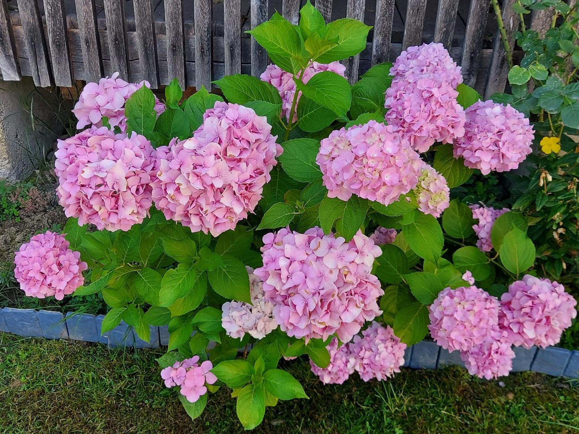 Vila Kuca Za Odmor Mazuran Karlovac Exteriér fotografie