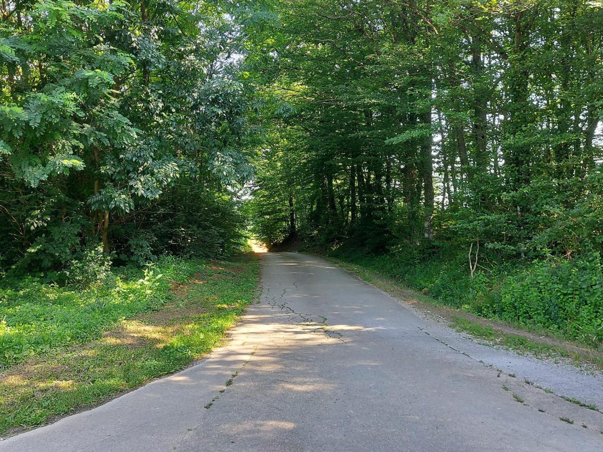 Vila Kuca Za Odmor Mazuran Karlovac Exteriér fotografie